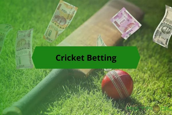 Guide to Cricket Betting